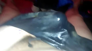 1267 hairy porn videos